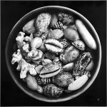 <p>نام هنرمند: نوید حسین نژاد آژیری</p>
 