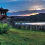 <p>نام هنرمند: ملک ناصر قربان زاده</p>
 