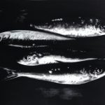 <p>نام هنرمند: نوید حسین نژاد آژیری</p>
 