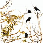 <p>نام هنرمند: مریم زندی</p>
 