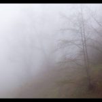 <p>نام هنرمند: مهوش نوری</p>
 