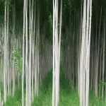 <p>نام هنرمند: محمدعلی جدیدالاسلام</p>
 