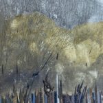 <p>رضوان صادق زاده</p>
 